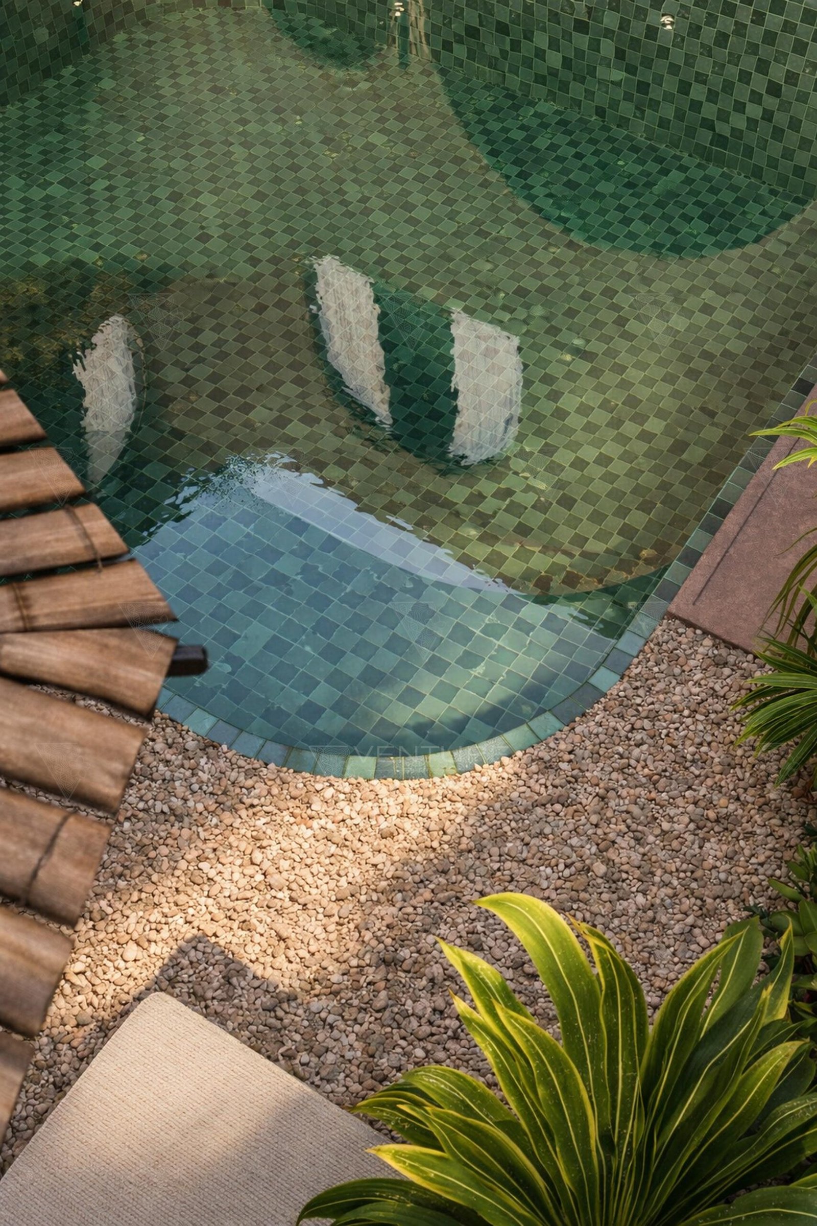 Detail _ Pool from above _ Villa Type 2